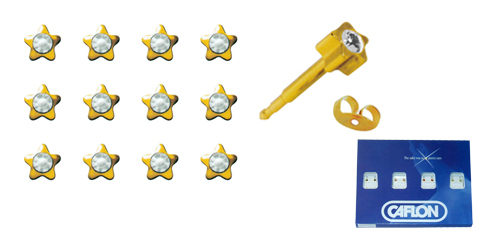 Brincos plaqué estrela com pedra branca (12 pares) Caflon